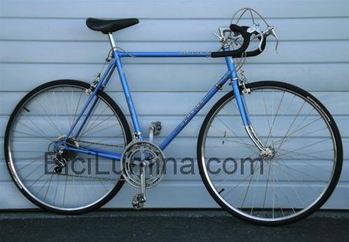 Schwinn Traveler III ficha técnica y opiniones